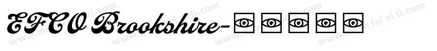 EFCO Brookshire字体转换